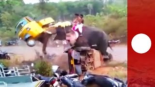 Elephant goes on rampage flipping 27 vehicles India [upl. by Vernier]