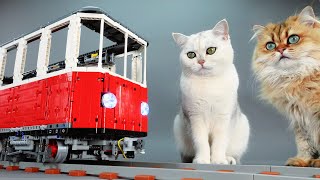 Building a CatSized Lego Train [upl. by Eisaj650]