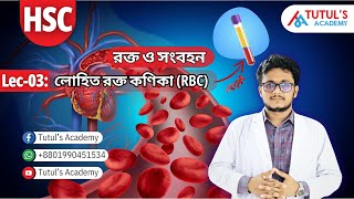 Lec03 এরিথ্রোসাইট বা লোহিত রক্ত কণিকা  Erythrocytes  রক্ত ও সংবহন  Blood and Circulation  HSC [upl. by Aenitsirhc548]