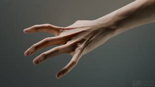 Hand Test II 4K 60fps [upl. by Jareb]