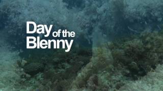 The Day of the Blenny [upl. by Uria]