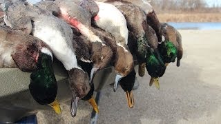 Duck Hunting Public Land Stacked Against Us  Fowled Reality [upl. by Thevenot]