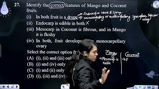 Identify the correct features of Mango and Coconut fruits iampnbspampnbspampnbsp In both fruit i [upl. by Cordier365]