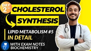 cholesterol metabolism biochemistry  cholesterol biochemistry  cholesterol synthesis pathway [upl. by Eboh]