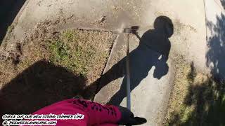 Tall Overgrown fence and curb Grass gets new look POV satisfying peeweeslawncare pov [upl. by Calise]