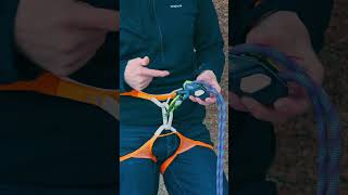 The best new belay device The Edelrid Pinch gymclimbing climbing [upl. by Sices774]