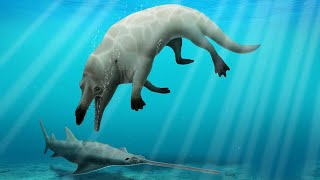 Researchers find fossil of a fourlegged landdwelling whale [upl. by Fridlund]