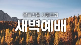 몬트리올 사랑교회 2024년 10월 8일 새벽예배  예레미야 26815 [upl. by Enitsud]