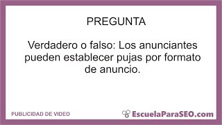 Verdadero o falso Los anunciantes pueden establecer pujas por formato de anuncio [upl. by Ellehsat]