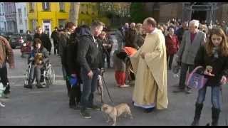 Dierenzegening Sint Pieterskerk Jette 2014 [upl. by Helm]