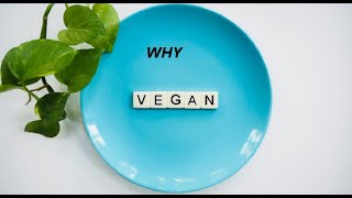 Why Go Vegan A Comprehensive Guide to All Benefits govegan [upl. by Ydiarf]