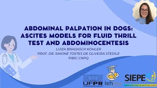 30º EVINCI  Abdominal Palpation in Dogs ascites models for fluid thrill test and abdominocentesis [upl. by Avitzur]