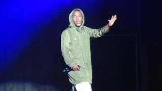 Kendrick Lamar  The Recipe  Live at Melbourne Rapture 2014 [upl. by Eeresid]