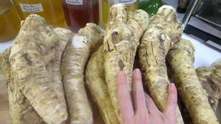 Fermented Horseradish Four Recipes [upl. by Esinwahs]