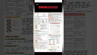 BIOMOLECULES Class 12 CHEMISTRY Physics Wallah  Biomolecules chemistry class12 biomolecules [upl. by Enirhtac]