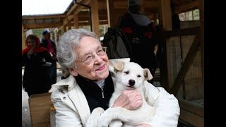 Sled Dog Discovery and Mushers Camp  Juneau Alaska [upl. by Otrebile]