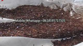 roasted cocoa bean peeling and cracking machine  cacao skin removing machine suppliers [upl. by Darcie]