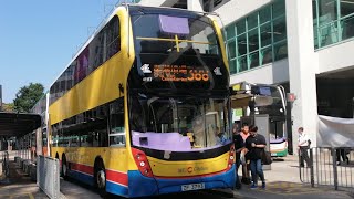 重陽節前新巴Hong Kong Bus Alexander Dennis Enviro500 MMC CityBus CityBus 41117 ZF3793 388柴灣🔄柴灣墳場歌連臣角 [upl. by Yendys]