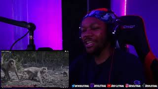 This Man Is Terribly UNDERRATED  Hopsin  Kumbaya Reaction [upl. by Evets202]