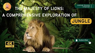 The Majesty of Lions A Comprehensive Exploration of Jungle [upl. by Airdnola]