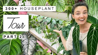 300 Houseplant Tour 🌿 2023 Plant Collection Home Tour Rare and Common 🌱 PART 2 [upl. by Yecad725]