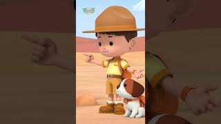 Finding a Home for the Meerkat 🏠  Leo the Wildlife Ranger  shorts education kids [upl. by Mcgruter378]