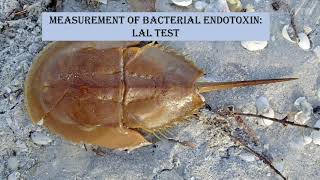 bacterial toxins Endotoxin and Exotoxins [upl. by Letrice]