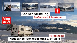 229 Traummorgen in der Schweiz  Heinzenberg Neuschnee  Schneeräumung  Schneeschuh Tour  4K [upl. by Cappello645]