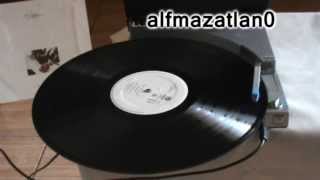 Flans  Pecesito  Vinyl version [upl. by Nodla]