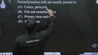 Parenchymatous cells are usually present in [upl. by Rawde]