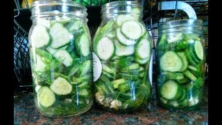 Garlic Dill Refrigerator Pickles Super Simple Recipe [upl. by Bernard]