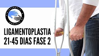 FASE 2 Ligamentoplastia rehabilitacion para la operacion del ligamento cruzado anterior o lca [upl. by Annoik]