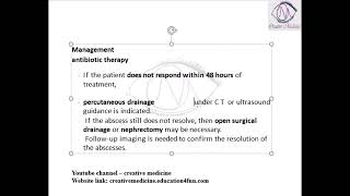 Lec 1 Perinephric Abscess [upl. by Llerdna976]