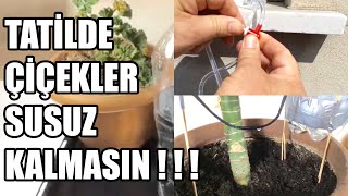 Siz Tatildeyken Çiçek Sulama İçin Pratik Yollar [upl. by Airdnaz]