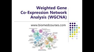 Weighted Gene CoExpression Network Analysis WGCNA Course [upl. by Garrity]