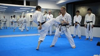 Mikio Yahara Mae Geri Training in KWF Honbu Dojo 2012 [upl. by Irakab950]