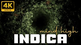 INDICA Mind High Music  WARNING  Intensely Relaxing Weed Effects Animated Video NO ADV 432Hz [upl. by Gyasi]