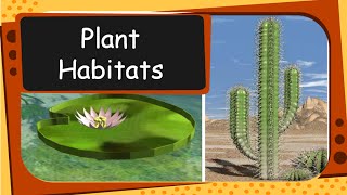 Science  Plant Habitat and adaptation  English [upl. by Emina]