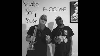 Scales Stay Busy feat OCTANE [upl. by Misa]