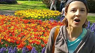 Ecco a voi il Keukenhof il più spettacolare parco floreale del mondo [upl. by Rhoda]