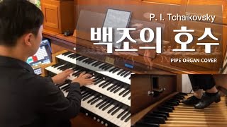 차이코프스키 백조의 호수 파이프 오르간으로 우아하고 웅장하게 🤵 [upl. by Suicul]