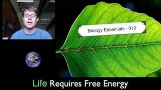 Life Requires Free Energy [upl. by Esaertal]