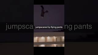 jumpscared by pants 👖 viralshort funny entertaining [upl. by Ellekcim641]