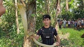 KING COBRA SA CLASSROOM NG MGA BATA [upl. by Neliak79]