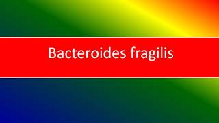 bacteroides fragilis [upl. by Bili]