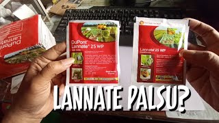 PEMBASMI HAMA KUTU DAN ULAT INSEKTISIDA LANNATE 25 WP  LANNATE MERAH YANG BARU [upl. by Armillas324]