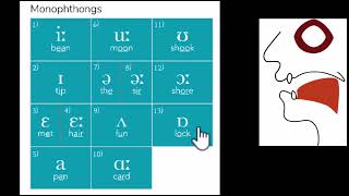 IPA chart with mouth positions  Fricatives Plosives Affricates Approximants  Tune Your English [upl. by Yenahteb975]