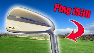 Ping i530 Irons Is this the ultimate betterplayers distance iron [upl. by Giglio]