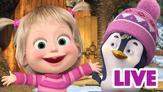 ماشا والدب 👱‍♀️ LIVE STREAM 🌟😵 هارلي قوي البنية حولنا 🌟😵 Masha and the Bear [upl. by Vail]