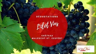 Dégustation La Dame de Malescot Margaux  Cave Lîlot Vins Martinique [upl. by Dnalevets234]